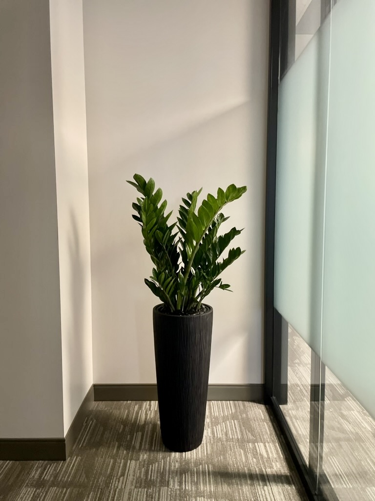Vetiver Living – indoor planter design in Toronto, ON: close-up of tall decorative planter with lush indoor plant
