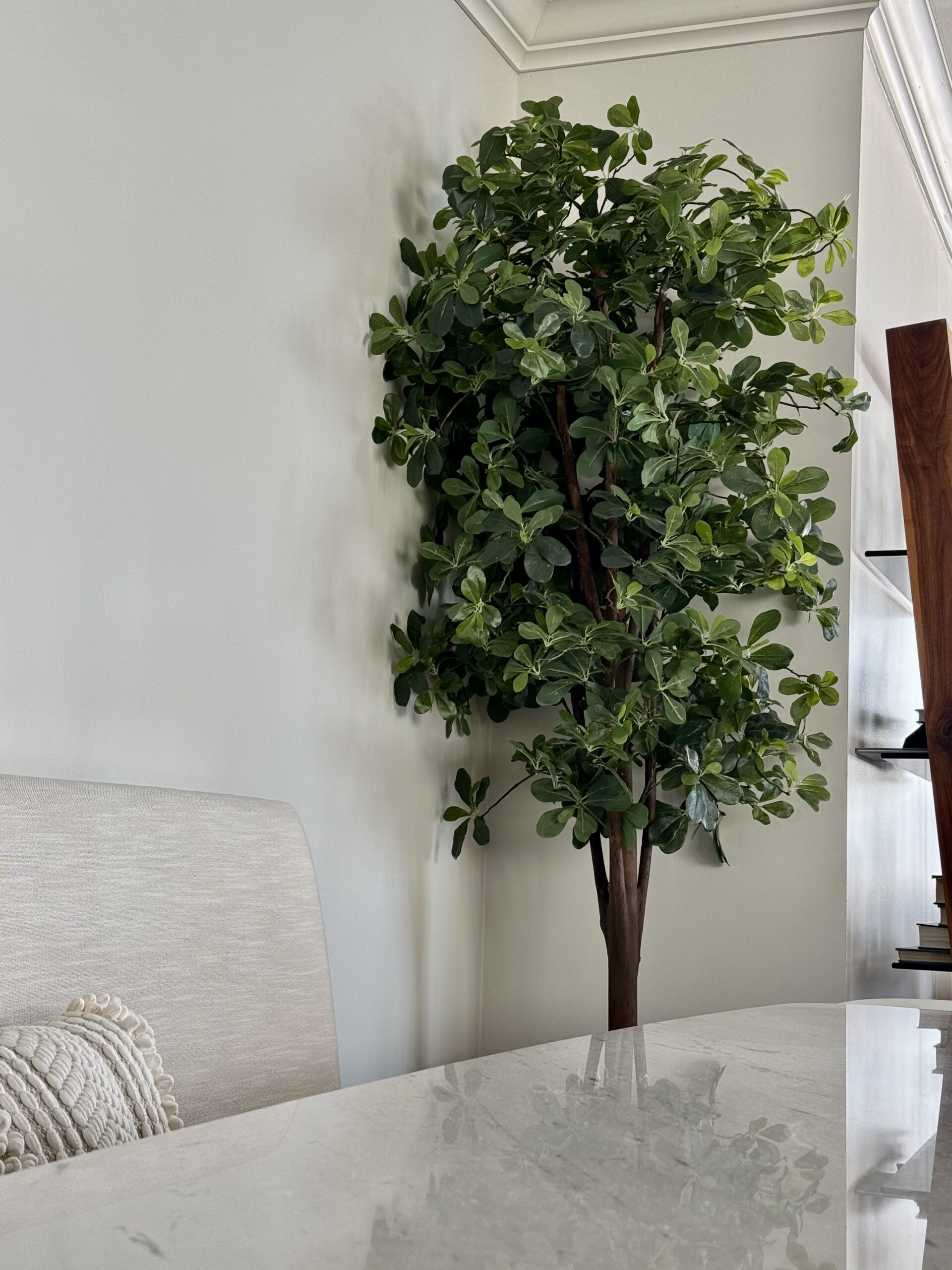 Vetiver Living – indoor living and tropical plants in Toronto, ON: tall indoor tree surrounded by lush greenery for interior decor