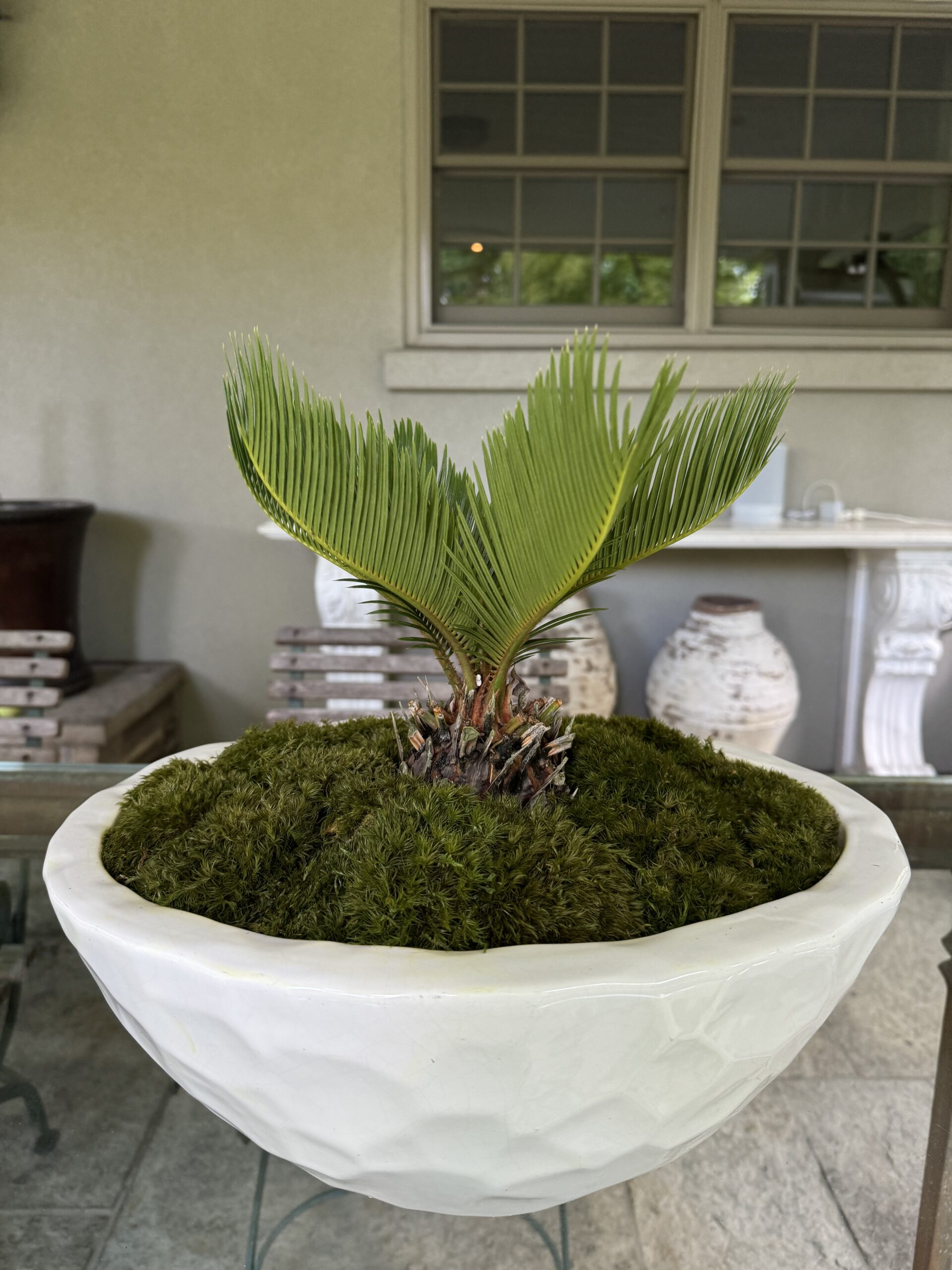 Vetiver Living – indoor seasonal planter design in Toronto, ON: stylish planter arrangement with lush greenery and colorful flowers