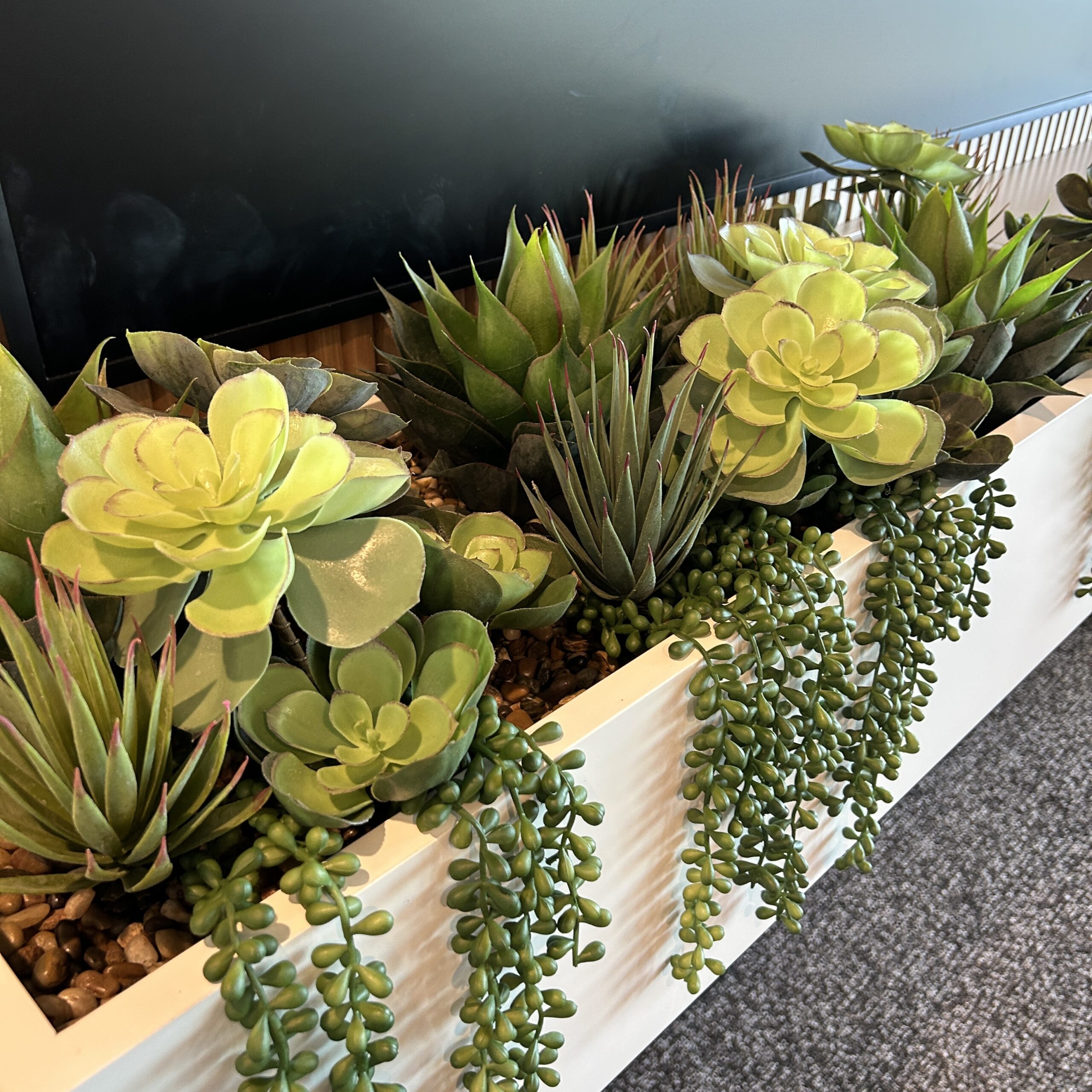 Vetiver Living – outdoor living and garden design in Toronto, ON: close-up of neatly trimmed boxwood plant arrangement